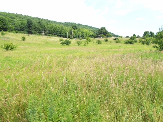 7 State Street Oneonta, NY 13820 - Photo 11 of 12