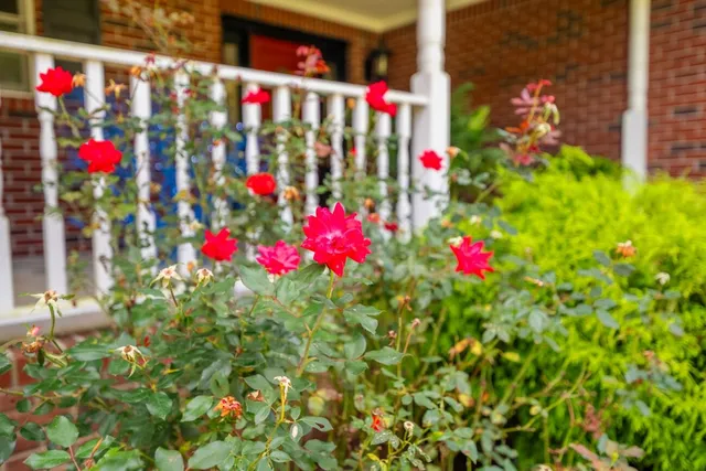 $575,000 | 272 Fairview Road Northwest, Calhoun, GA 30701