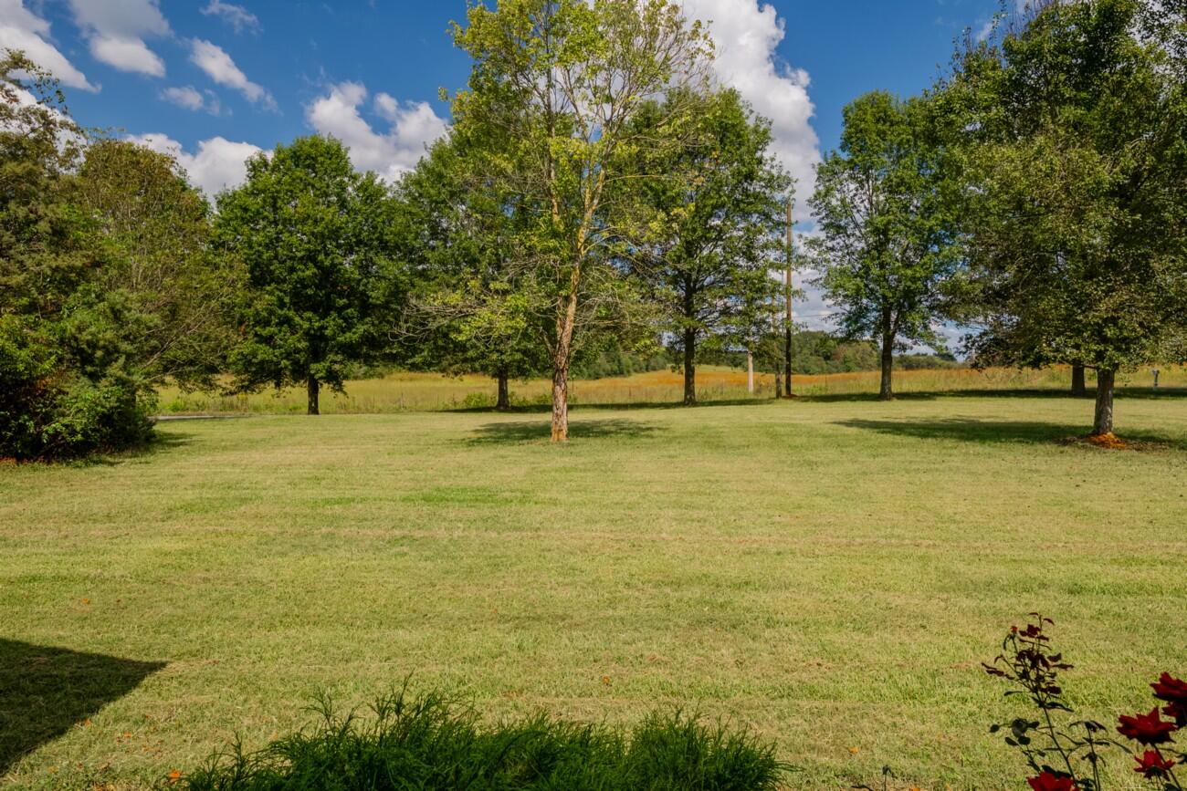 272 Fairview Road Northwest Calhoun, GA 30701 - Photo 67 of 85 Fairview Rd (67)