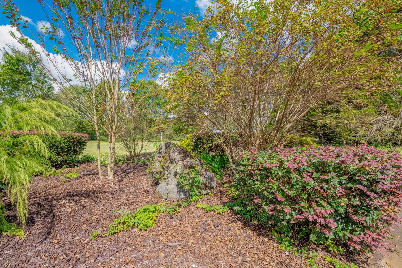 272 Fairview Road Northwest Calhoun, GA 30701 - Photo 71 of 85 Fairview Rd (71)