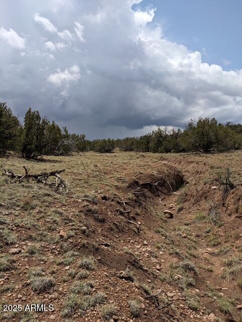 Tbd Tbd Vista Point Heber, AZ 85928 - Photo 4 of 20 a view of an ocean beach
