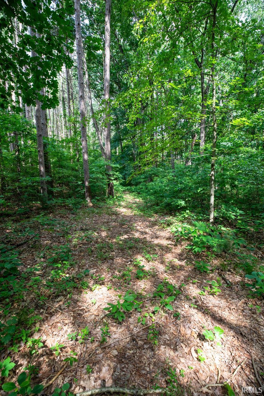 12368 Upas Road Plymouth, IN 46563 - Photo 44 of 50