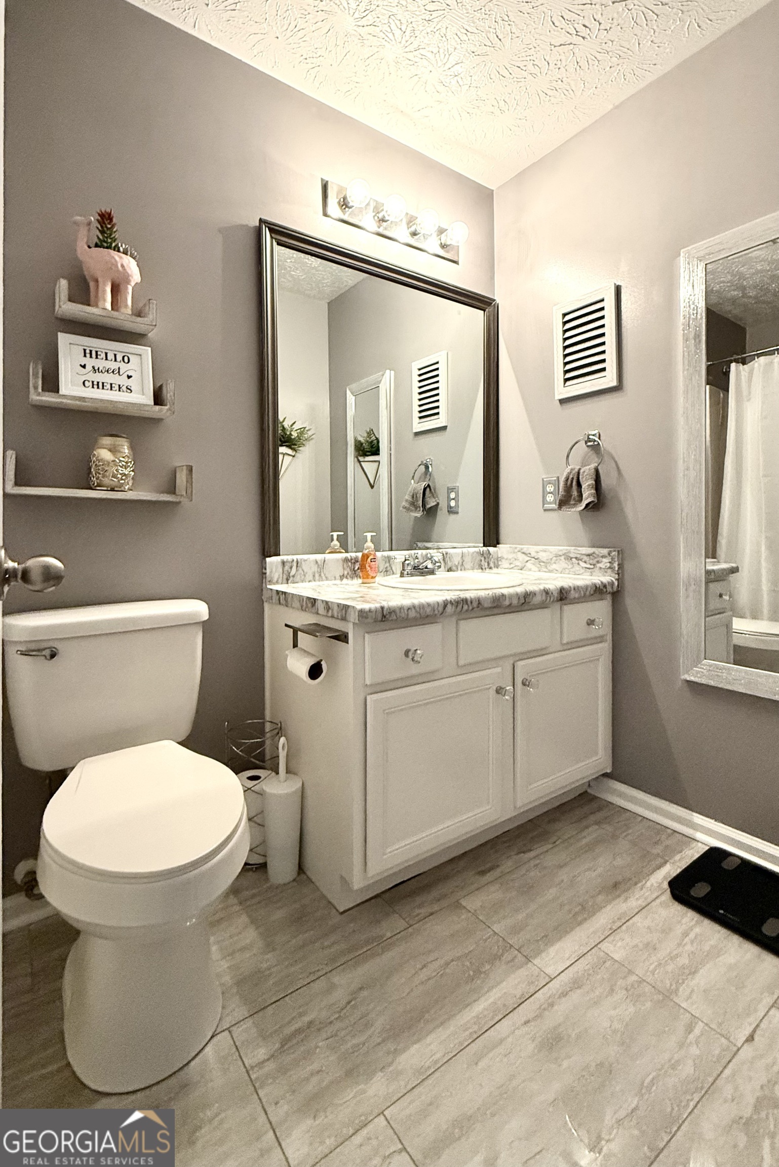 110 Waterloo Drive Mount Airy, GA 30563 - Photo 10 of 24 a bathroom with a toilet sink and mirror