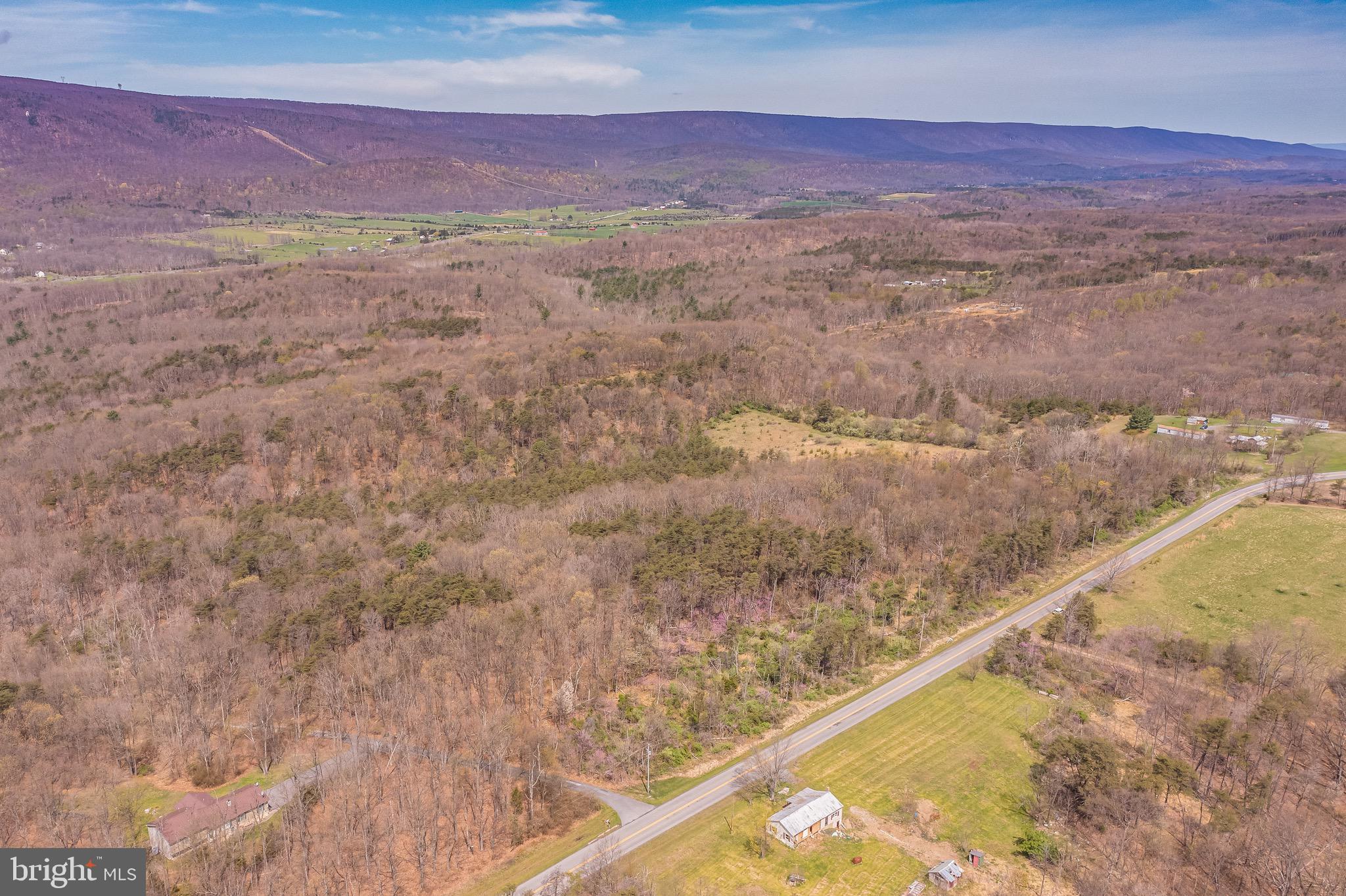 17.5-acres North Timber Ridge Road North Cross Junction, VA 22625 - Photo 1 of 9