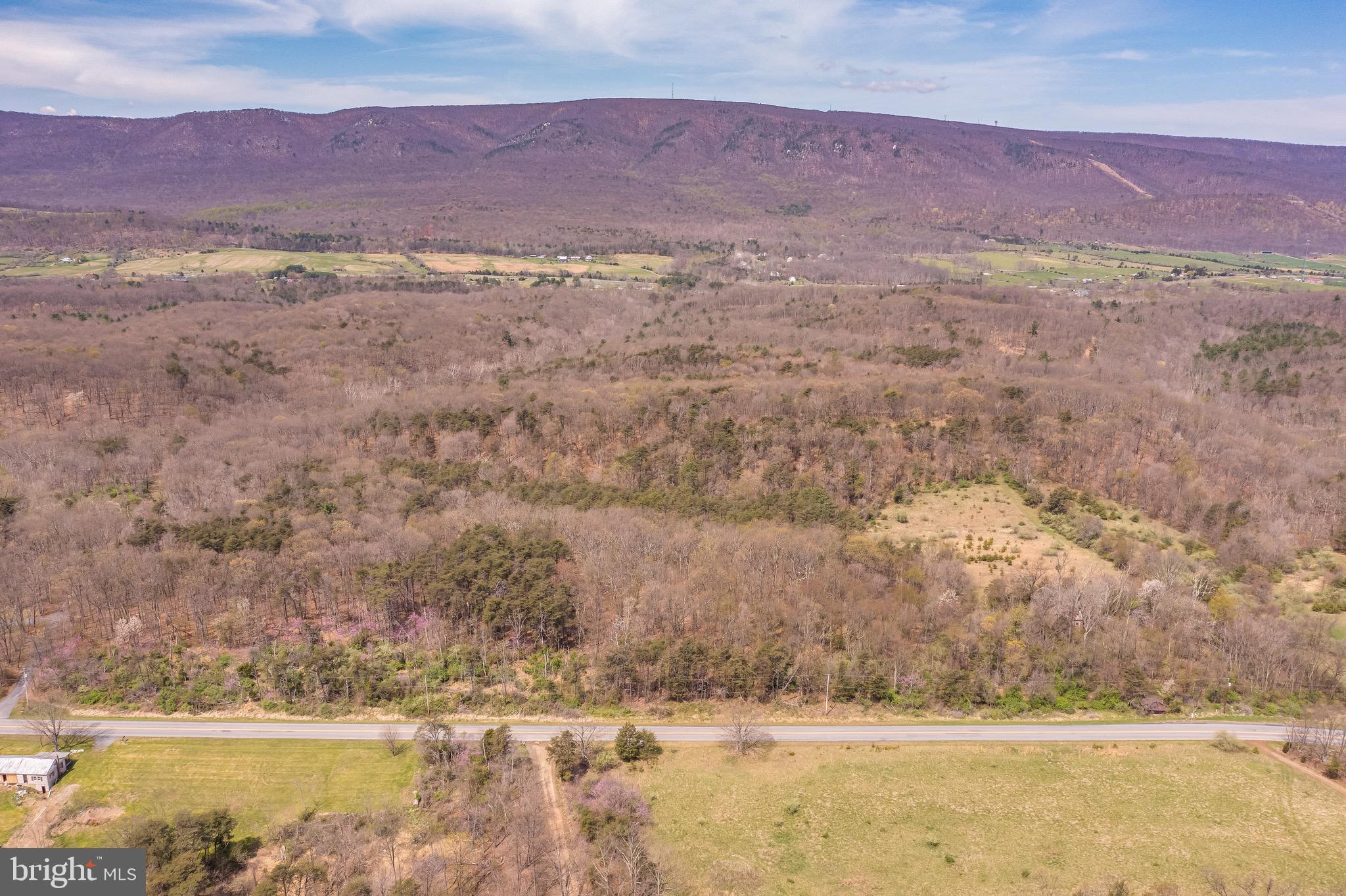 17.5-acres North Timber Ridge Road North Cross Junction, VA 22625 - Photo 2 of 9