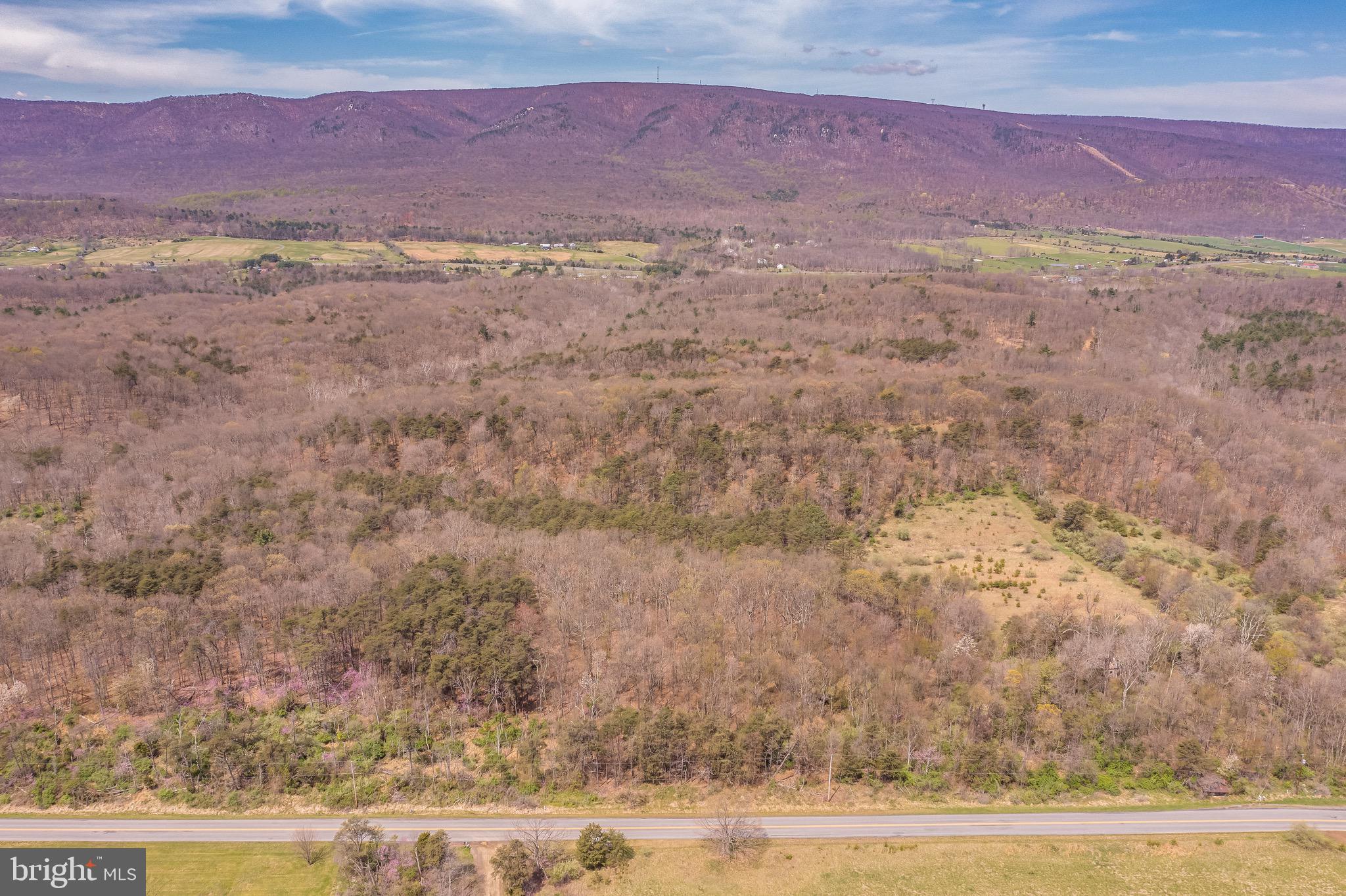 17.5-acres North Timber Ridge Road North Cross Junction, VA 22625 - Photo 3 of 9