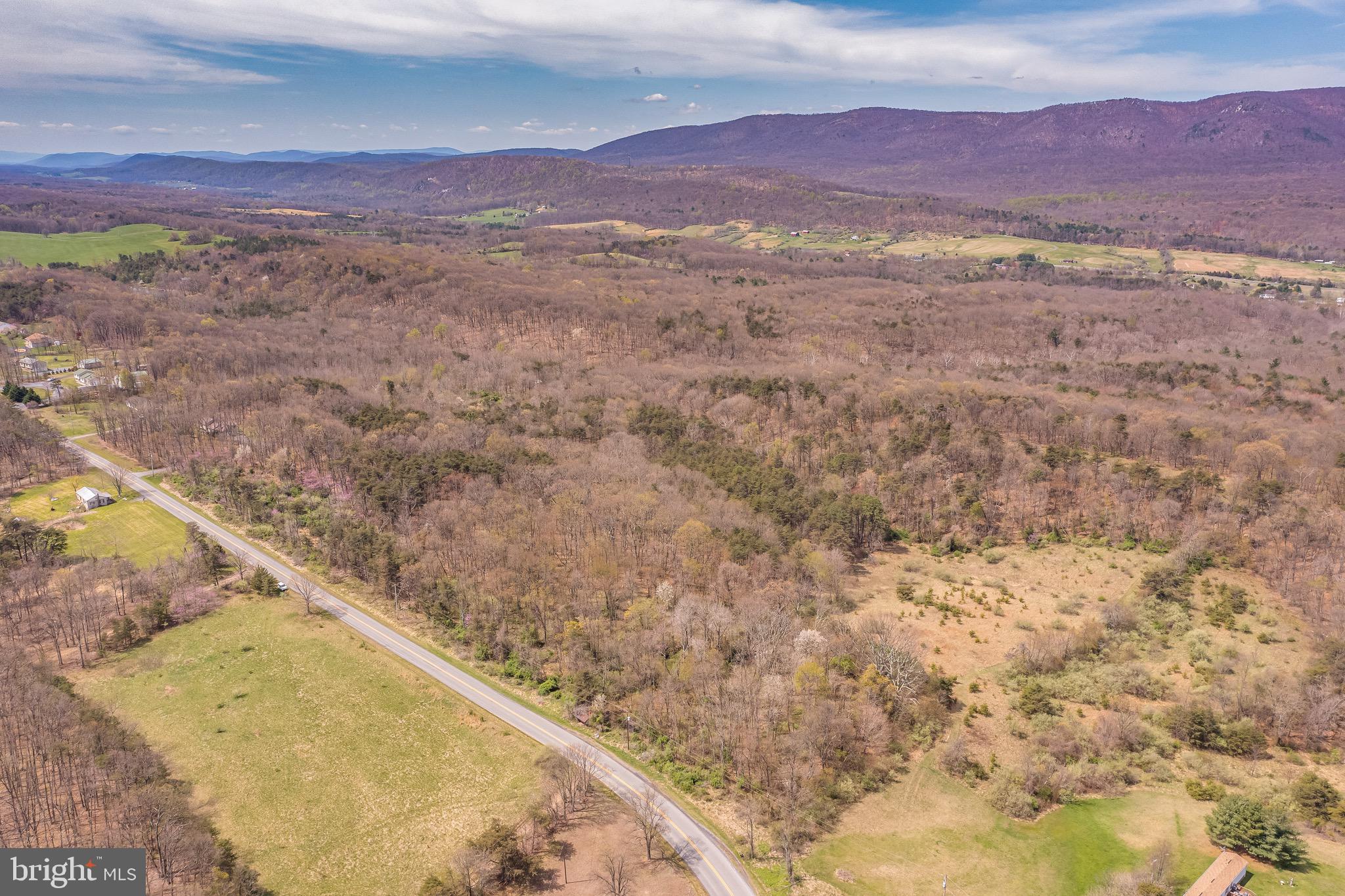 17.5-acres North Timber Ridge Road North Cross Junction, VA 22625 - Photo 4 of 9