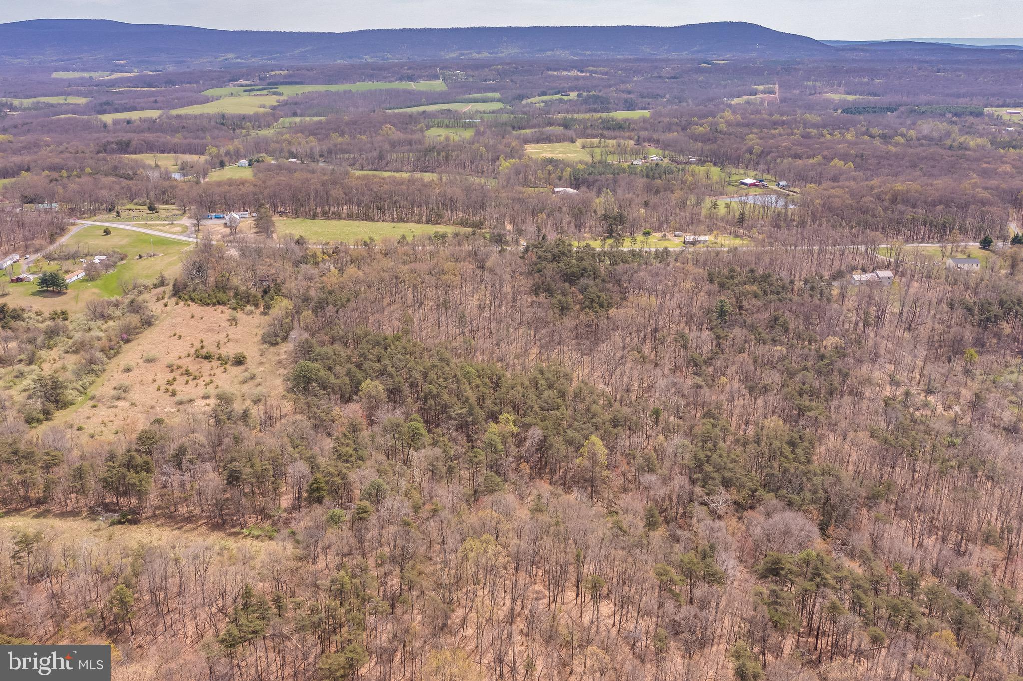 17.5-acres North Timber Ridge Road North Cross Junction, VA 22625 - Photo 5 of 9