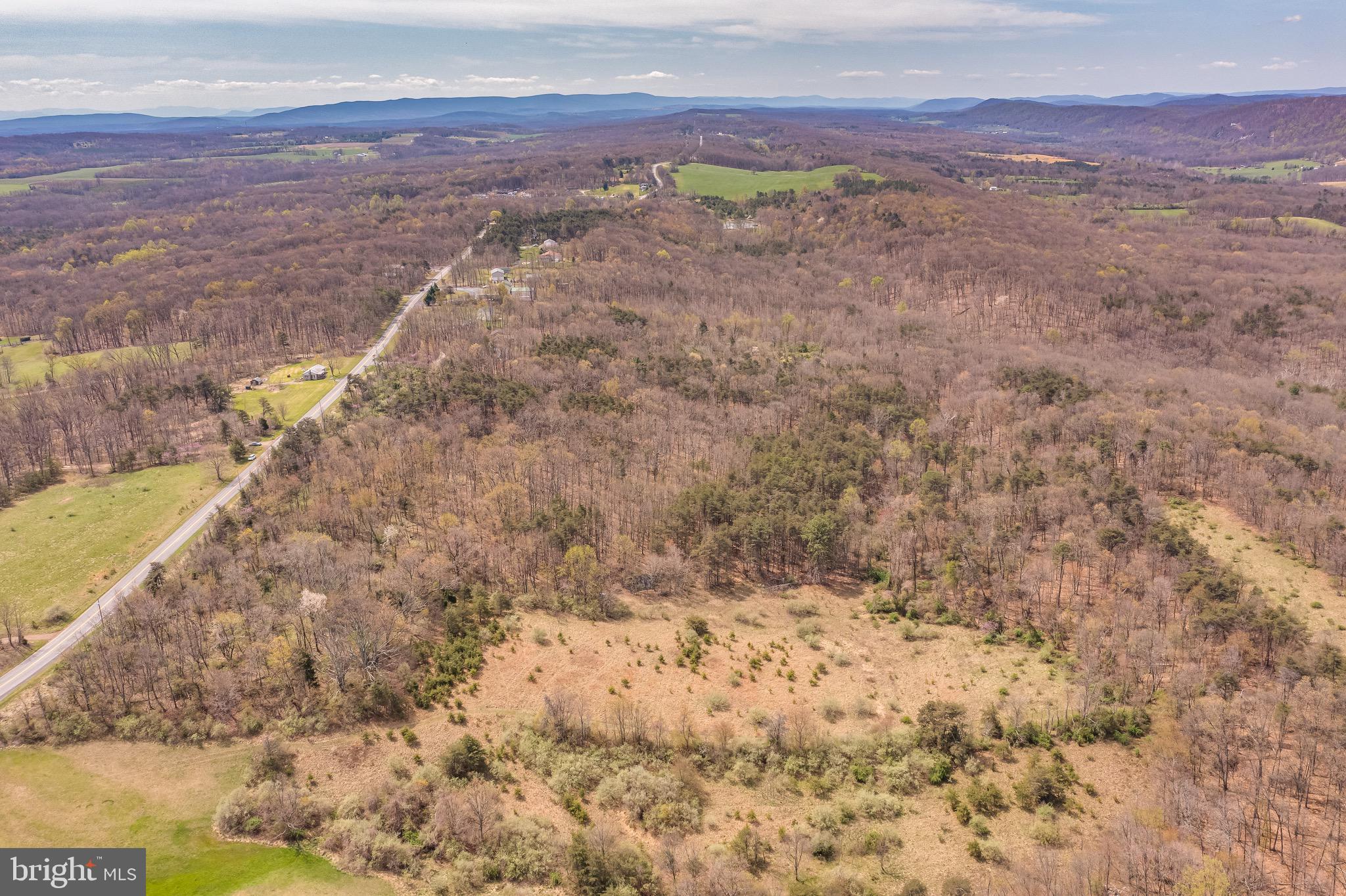 17.5-acres North Timber Ridge Road North Cross Junction, VA 22625 - Photo 6 of 9