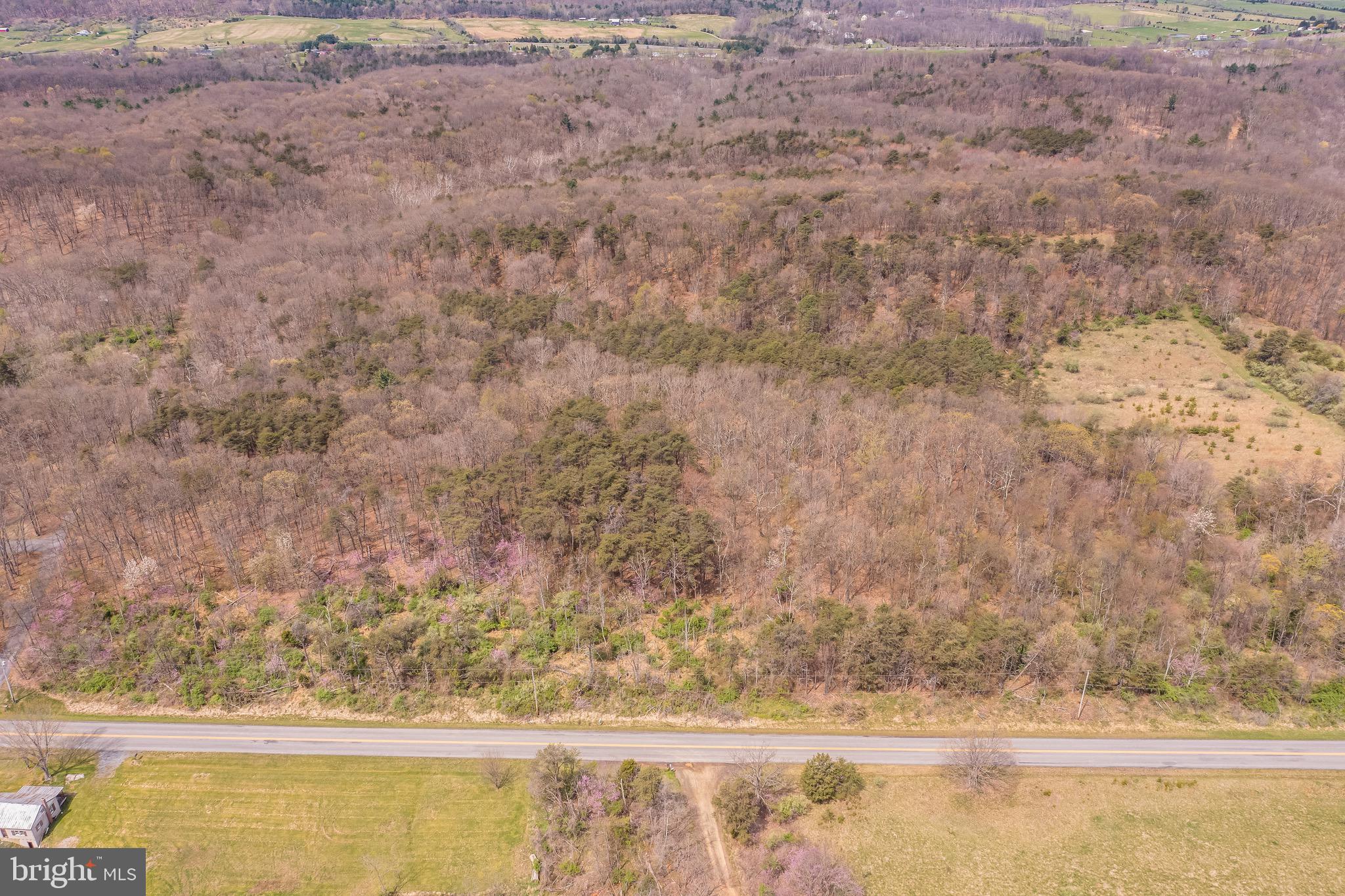 17.5-acres North Timber Ridge Road North Cross Junction, VA 22625 - Photo 7 of 9