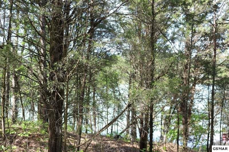 0 Lot 35 Buck Horn Road Sevierville, TN 37876 - Photo 16 of 30