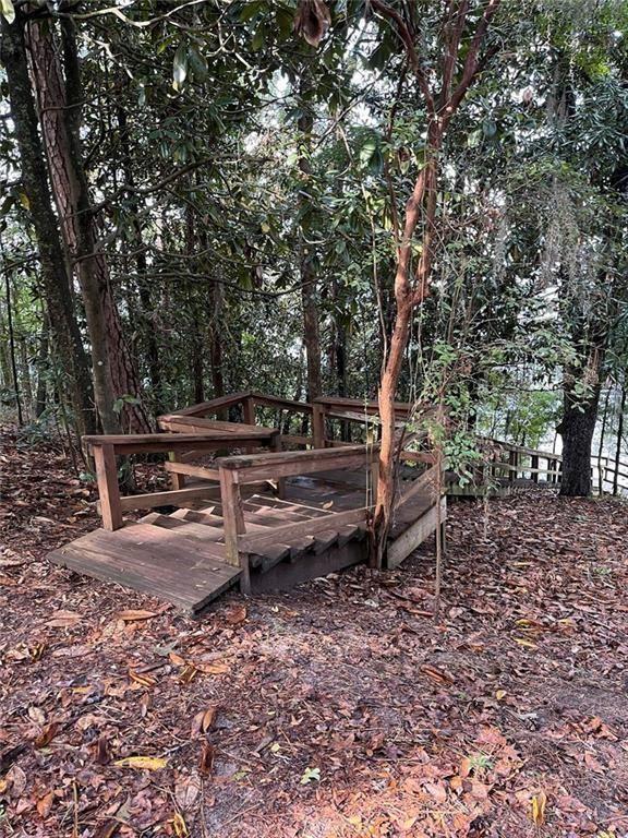 12 Rosalyn Road Georgetown, GA 39854 - Photo 68 of 82 a backyard of a house with lots of green space