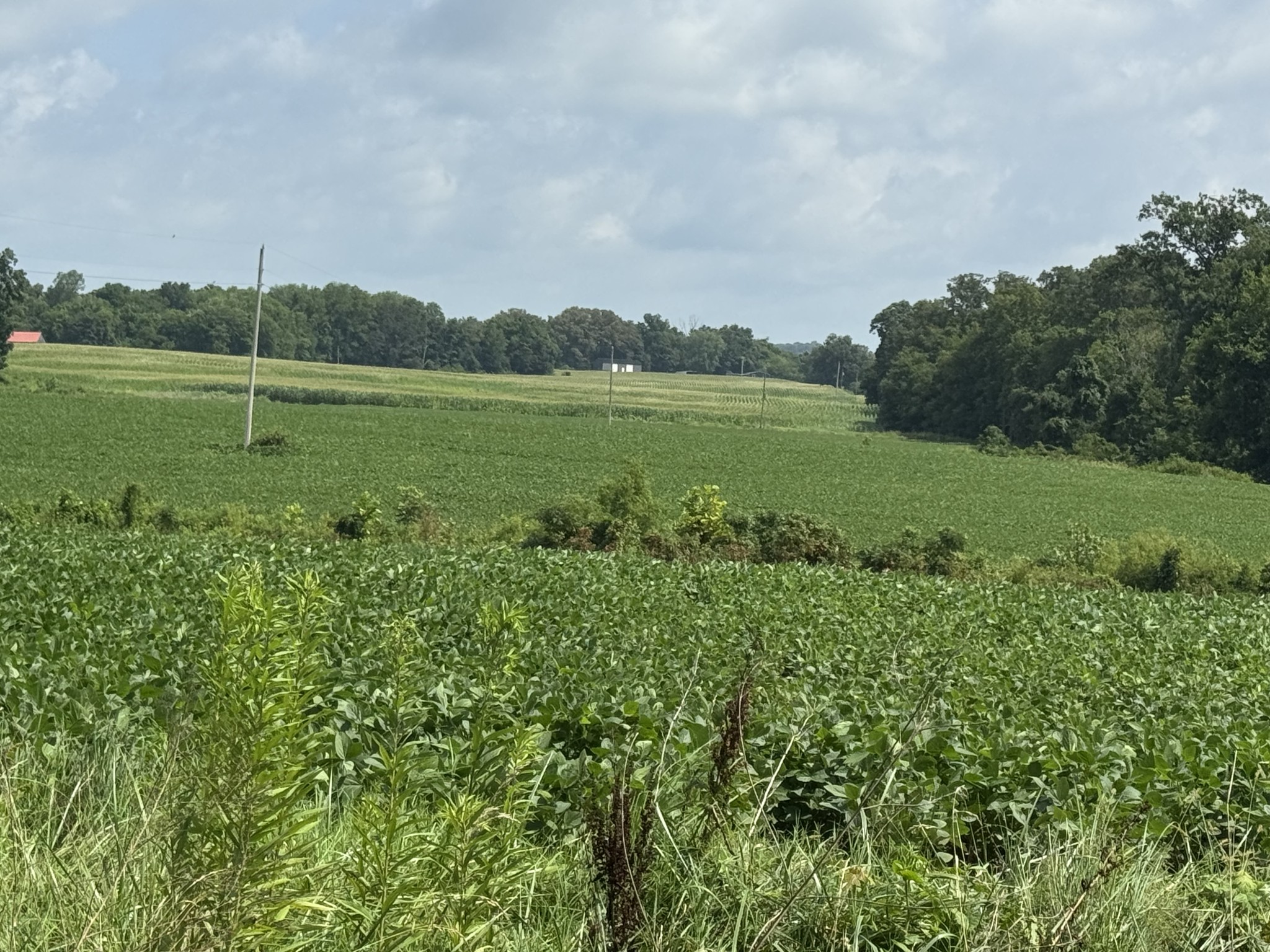 0 Zander Road Hopkinsville, KY 42240 - Photo 5 of 7