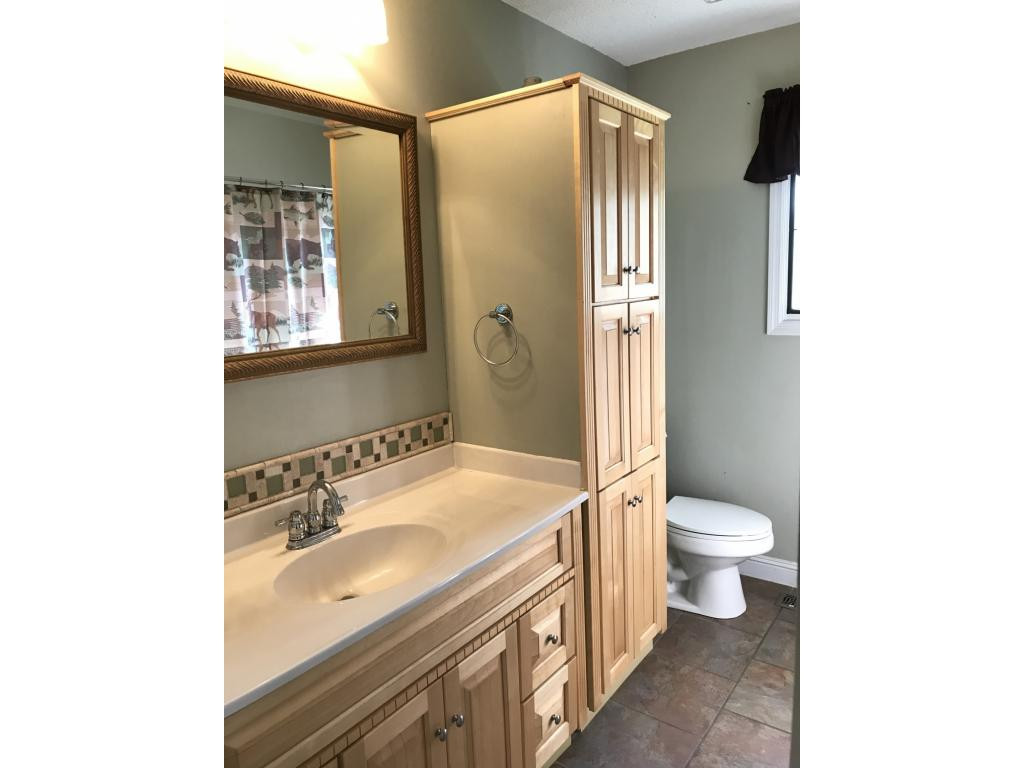 415 Pine Ridge Road Bluff City, TN 37618 - Photo 11 of 22 Main level bath