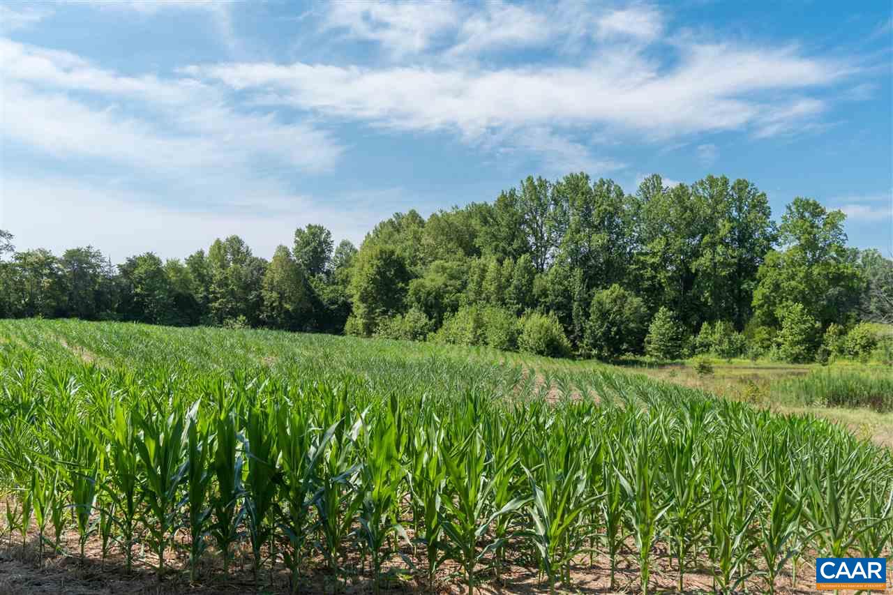 1001 Tabscott Road Kents Store, VA 23084 - Photo 1 of 23 a view of a big yard with plants and large trees