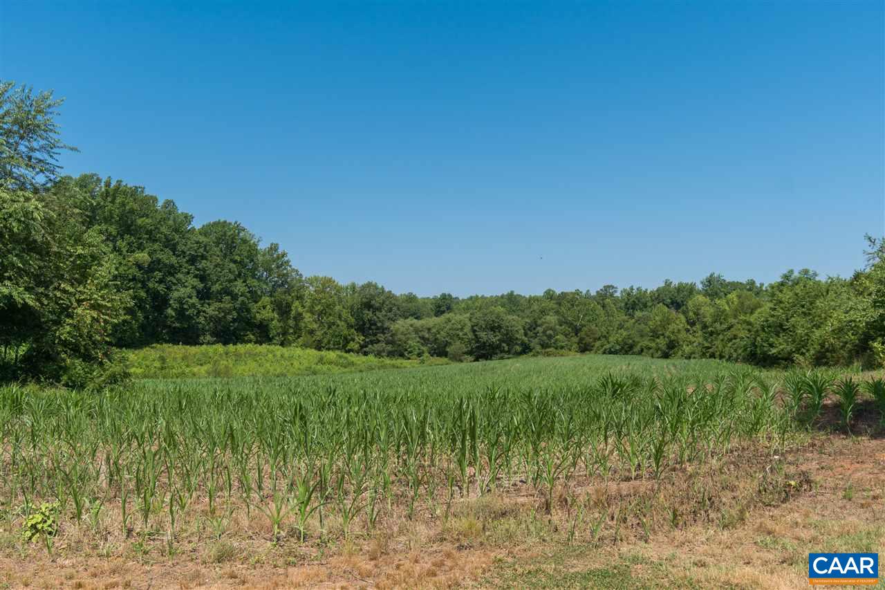 1001 Tabscott Road Kents Store, VA 23084 - Photo 15 of 23 a view of a lush green space