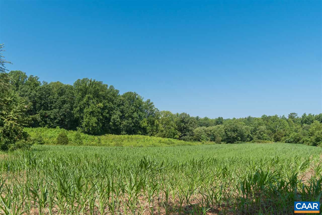 1001 Tabscott Road Kents Store, VA 23084 - Photo 16 of 23 a view of a field of grass and trees