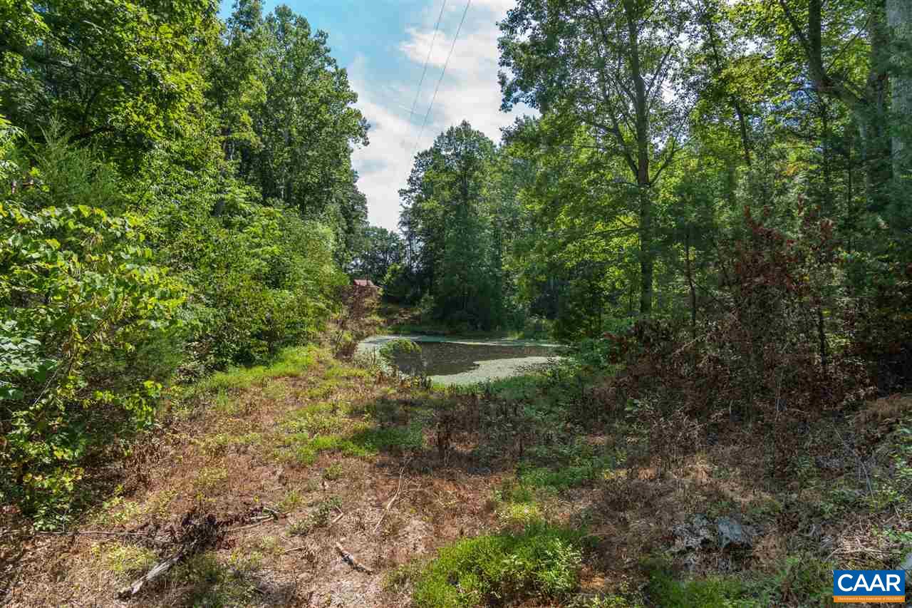 1001 Tabscott Road Kents Store, VA 23084 - Photo 17 of 23 a view of a forest with a sink