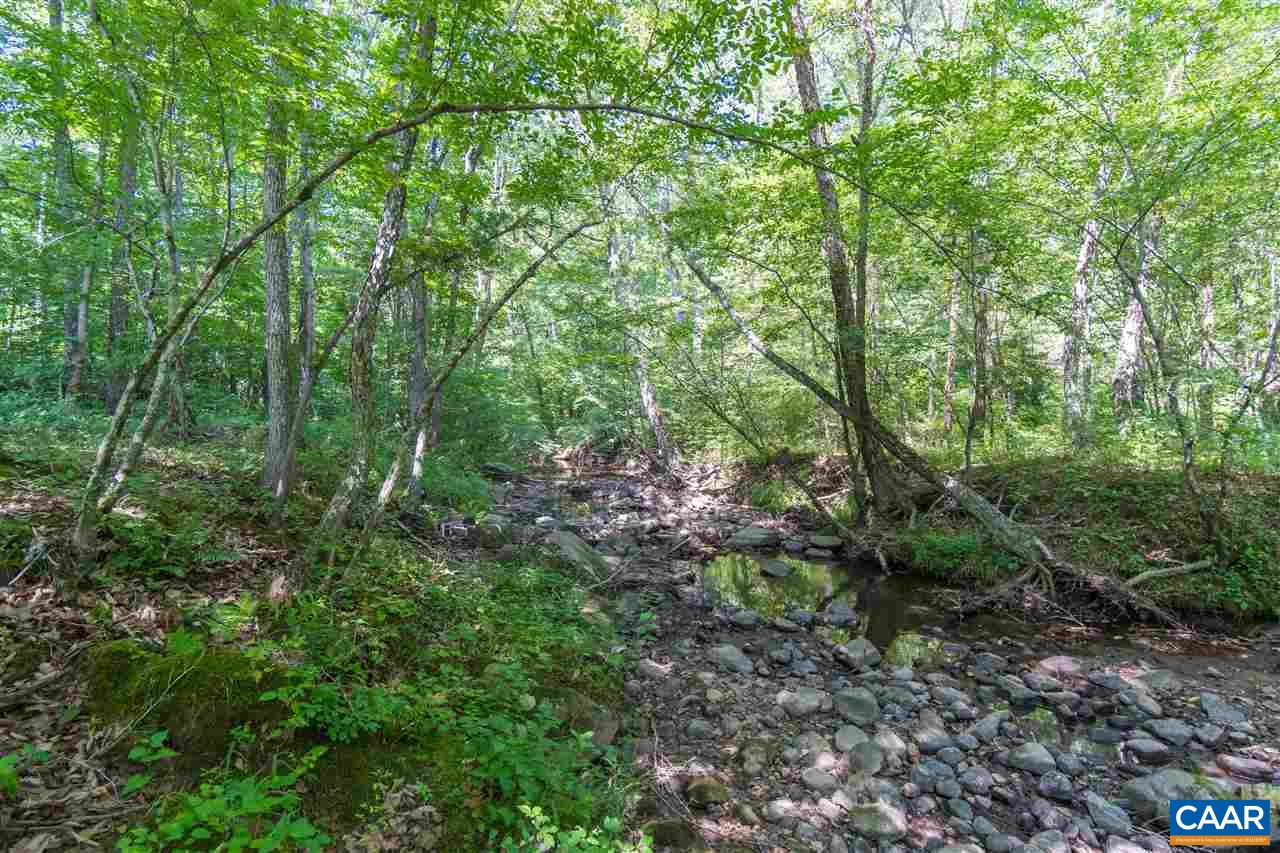 1001 Tabscott Road Kents Store, VA 23084 - Photo 20 of 23 a view of a forest with lots of trees