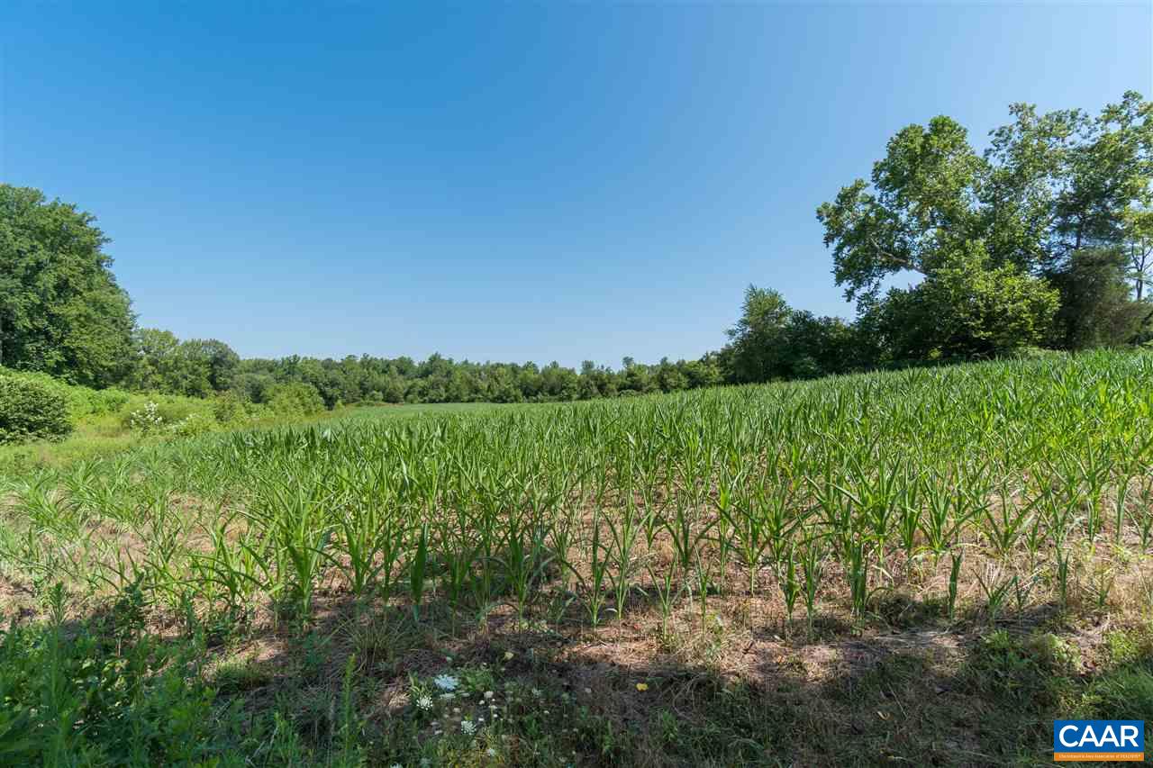 1001 Tabscott Road Kents Store, VA 23084 - Photo 2 of 23 a view of a lush green space with sea