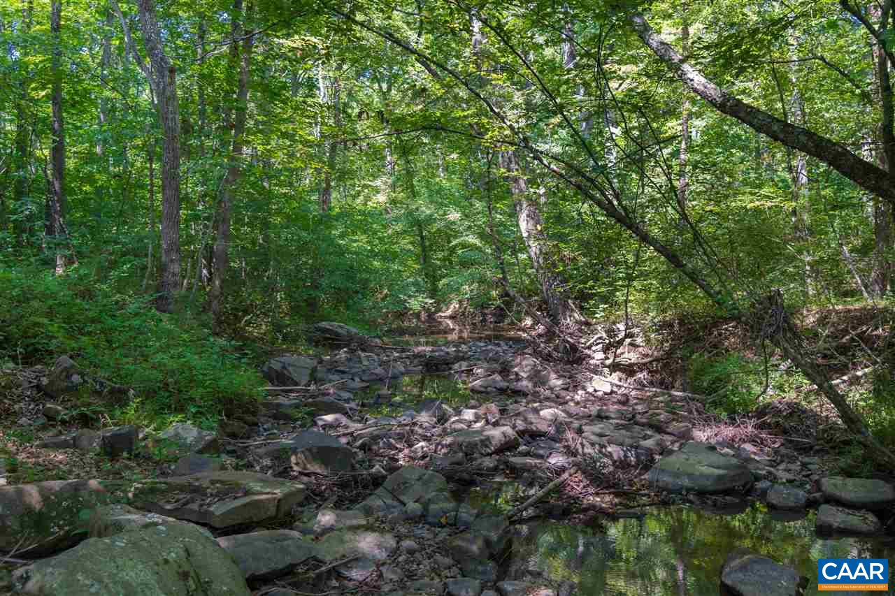 1001 Tabscott Road Kents Store, VA 23084 - Photo 21 of 23 a view of a forest with a tree