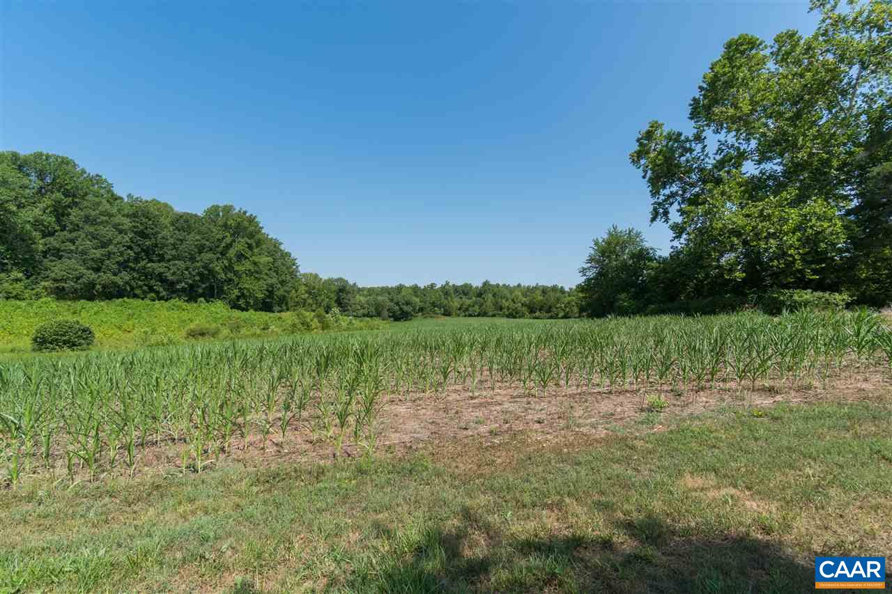 1001 Tabscott Road Kents Store, VA 23084 - Photo 3 of 23 a view of a lake with a yard and large trees