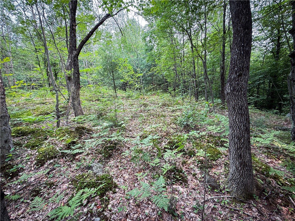 556 Beebe Road Potsdam, NY 13676 - Photo 20 of 50