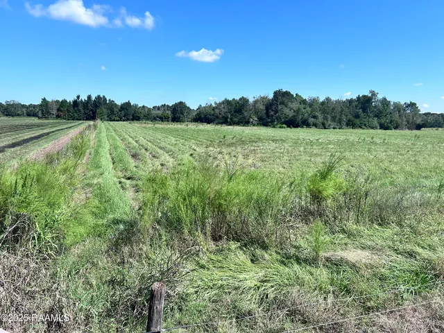 $96,000 | 0 Curleys Road, Sunset, LA 70584