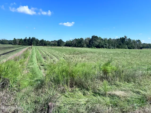 $96,000 | 0 Curleys Road, Sunset, LA 70584