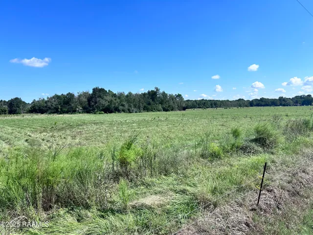 $96,000 | 0 Curleys Road, Sunset, LA 70584