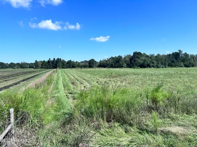 $96,000 | 0 Curleys Road, Sunset, LA 70584