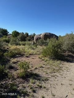 17653 Foothill Road, Unit 7 & 8 Yarnell, AZ 85362 - Photo 5 of 8 a view of a yard with a tree