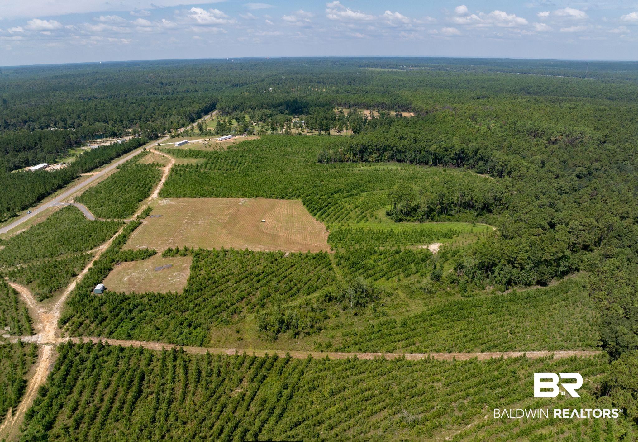 0 Horseneck Road Bay Minette, AL 36507 - Photo 4 of 11