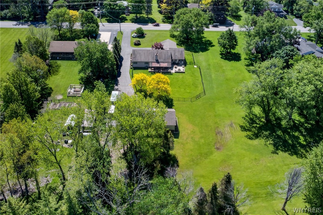 4119 Beach Ridge Road Pendleton, NY 14120 - Photo 9 of 50