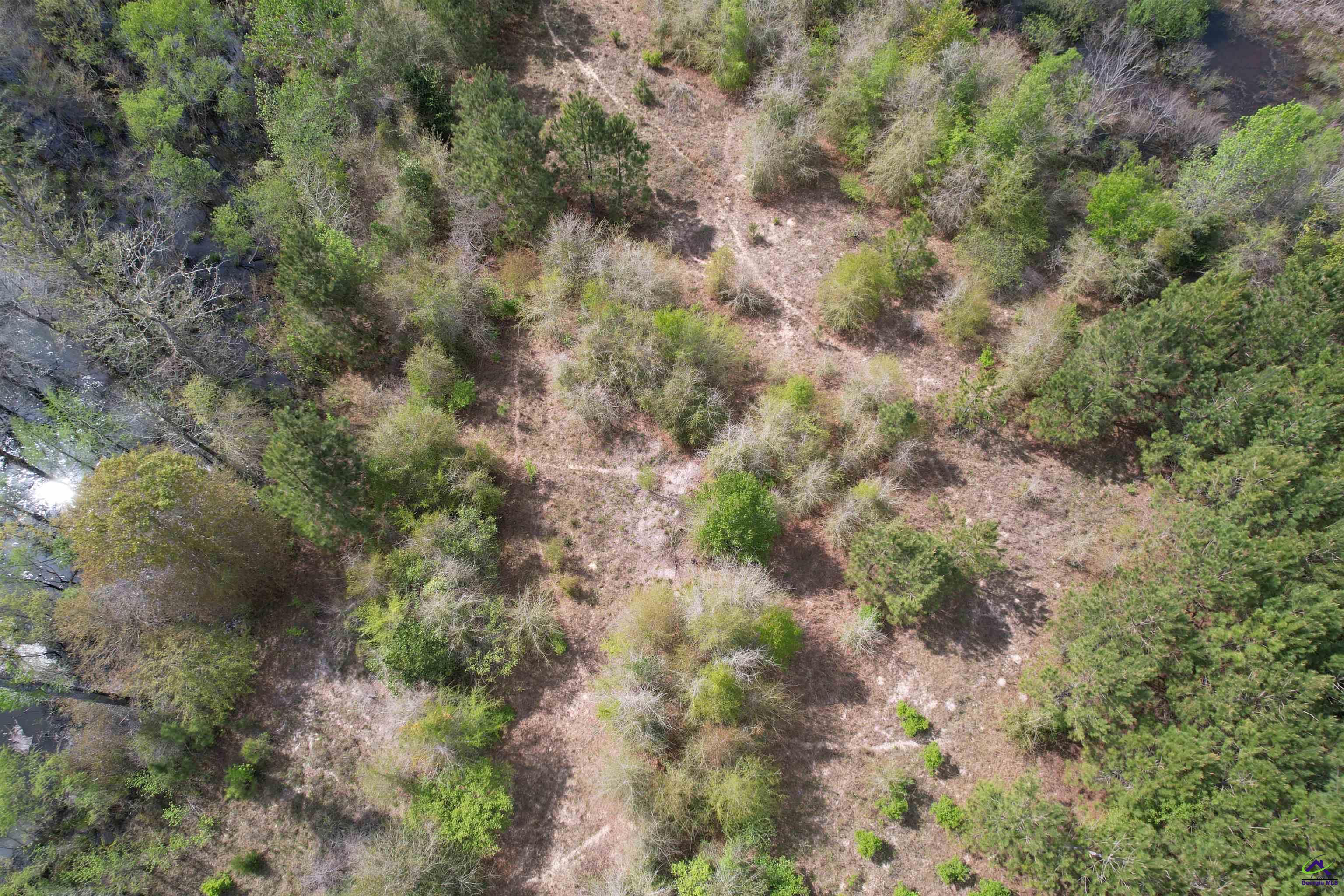 Bethel Church Road Eastman, GA 31023 - Photo 20 of 32