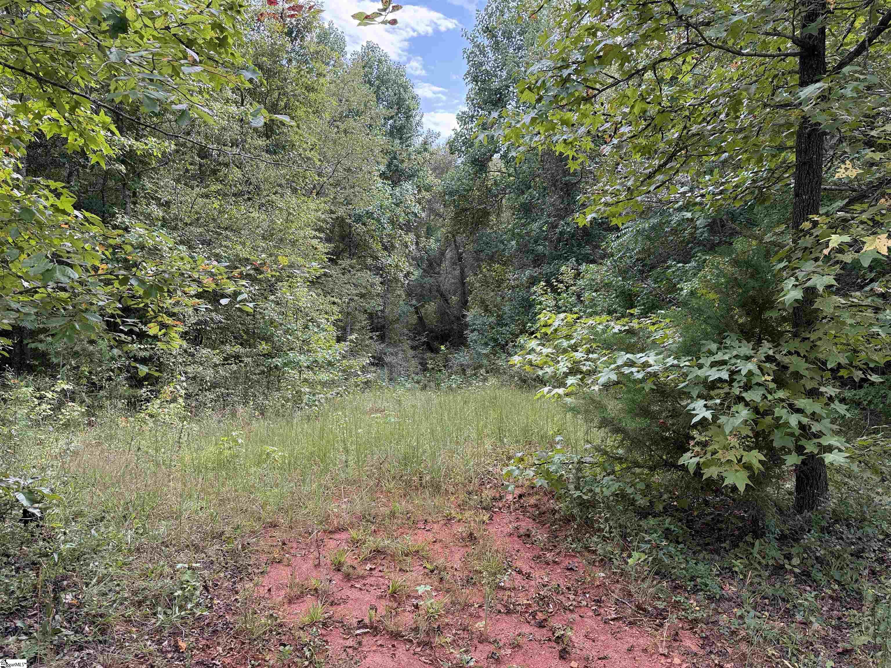 1457 Country Estates Road Inman, SC 29349 - Photo 15 of 19 Gallery Image 15