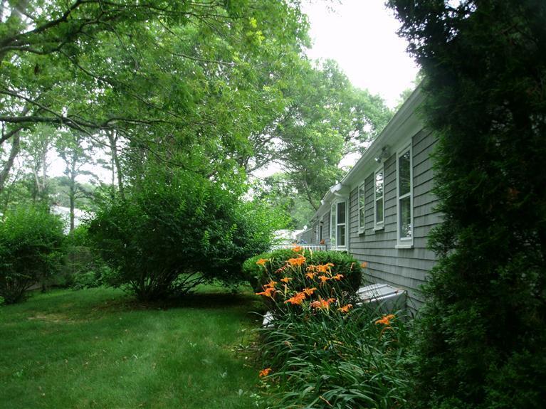 23 Ansel Howland Road Centerville, MA 02632 - Photo 6 of 27 a backyard of a house with lots of green space and garden