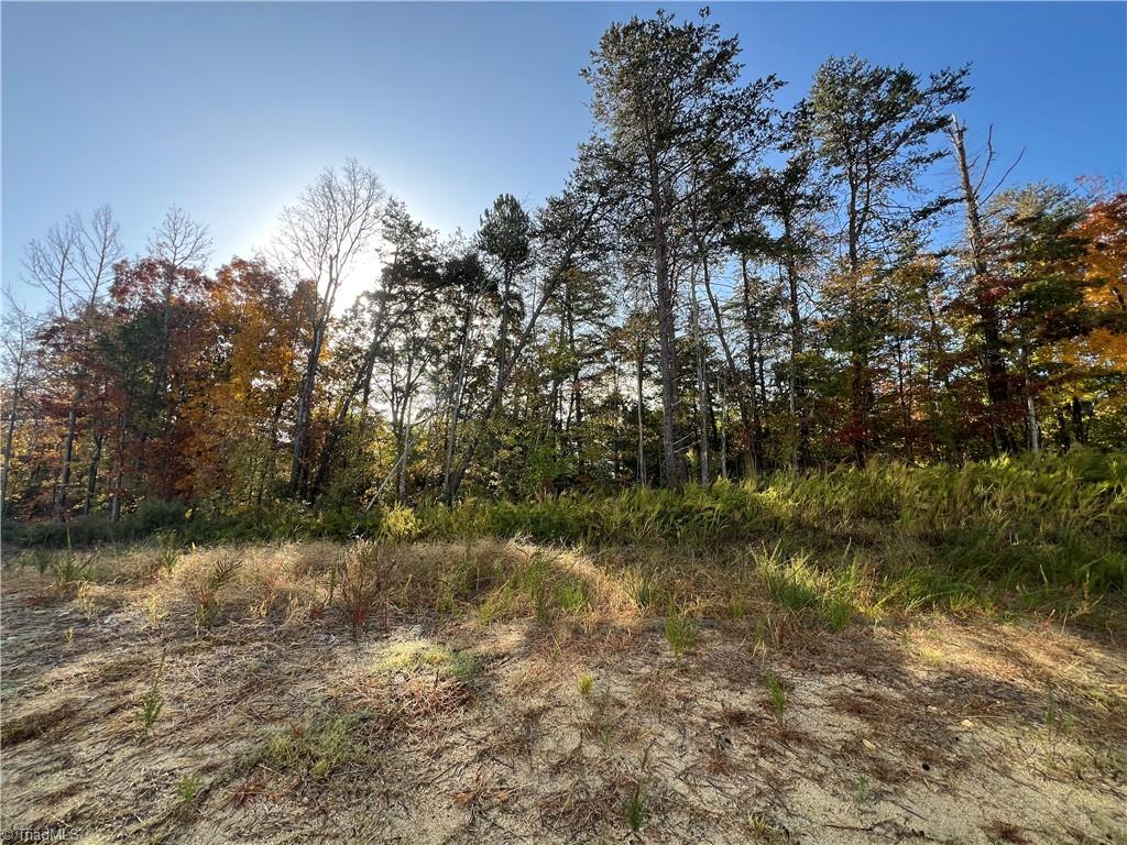 861 Falls Grove Trail High Point, NC 27265 - Photo 34 of 36