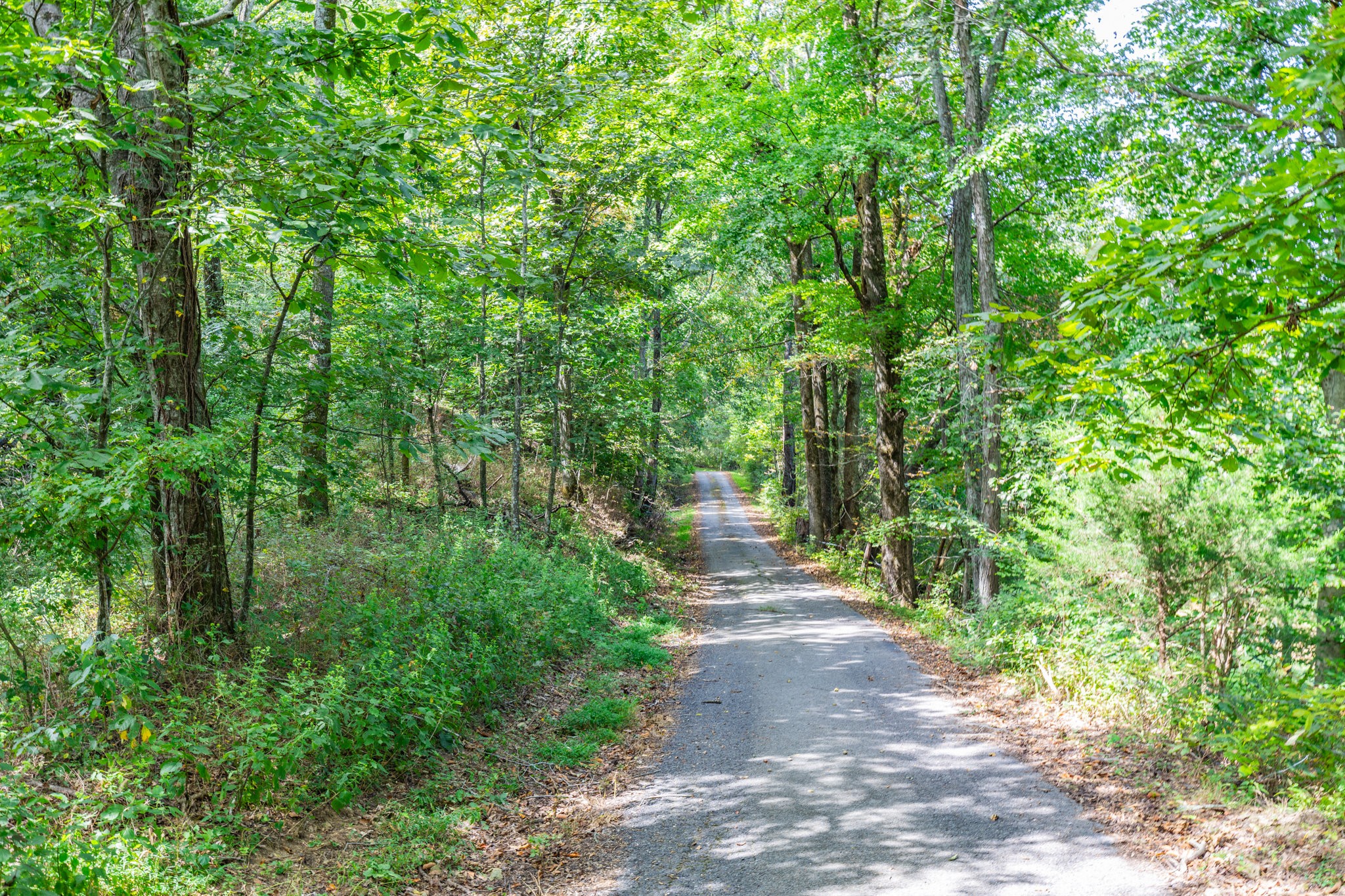 1340 Magazine Road Pulaski, TN 38478 - Photo 42 of 83