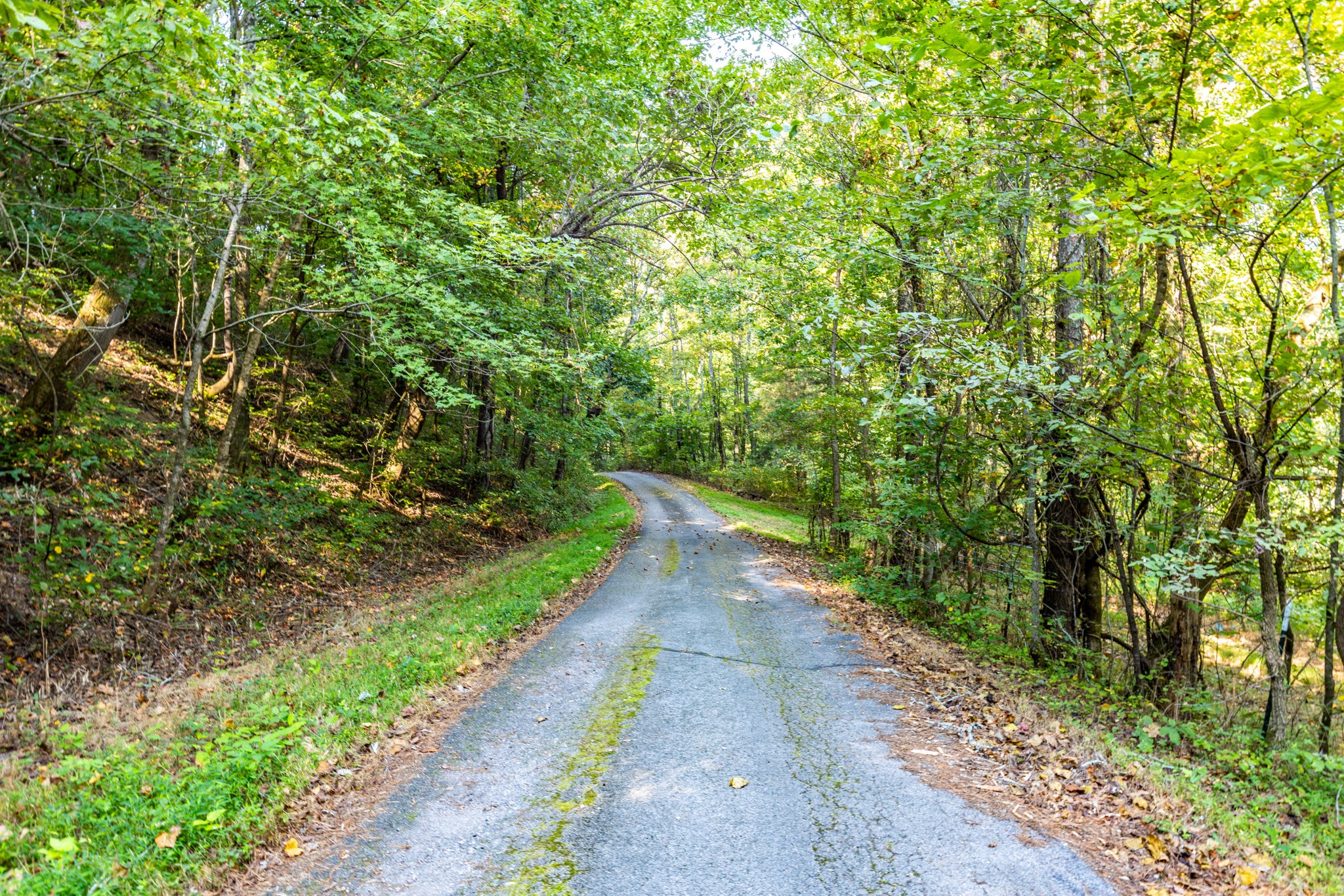 1340 Magazine Road Pulaski, TN 38478 - Photo 43 of 83 a view of a pathway both side of yard