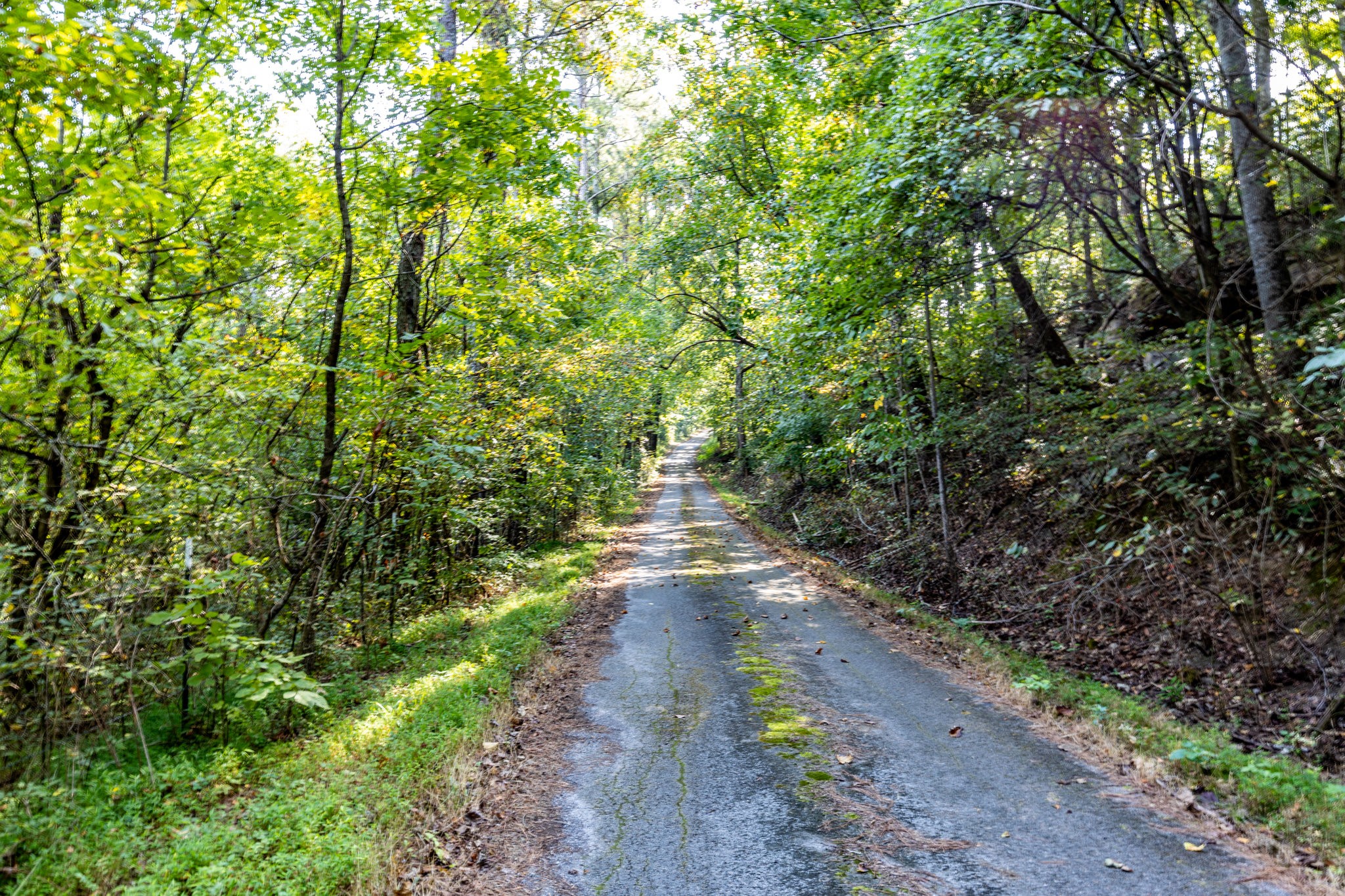 1340 Magazine Road Pulaski, TN 38478 - Photo 44 of 83