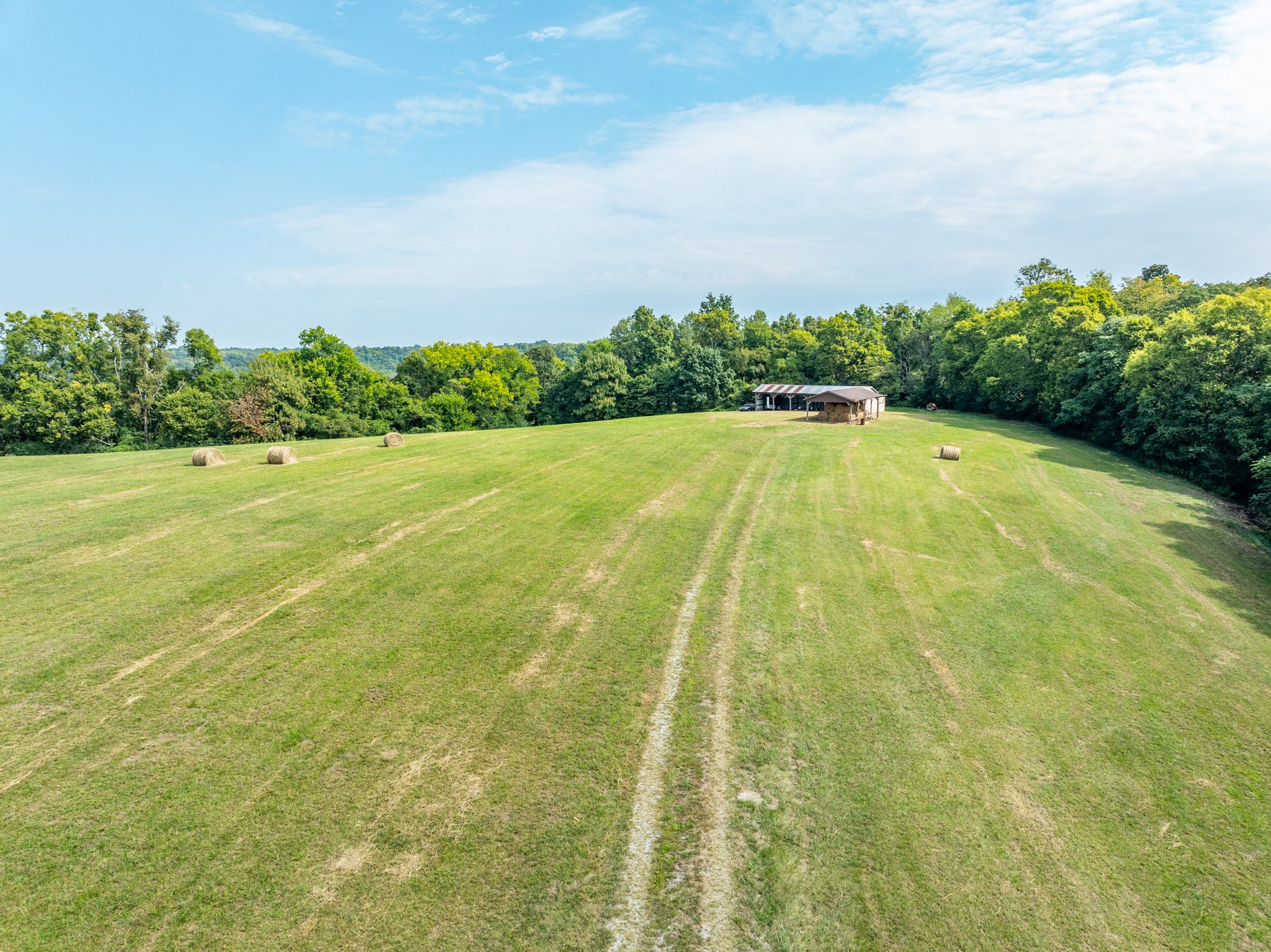 1340 Magazine Road Pulaski, TN 38478 - Photo 81 of 83 a view of a big yard with lots of green space
