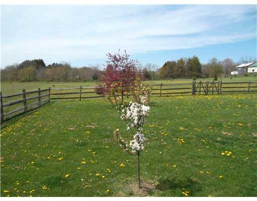 228 Hines Road Slippery Rock, PA 16057 - Photo 13 of 18 Yard/Garden.