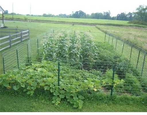 228 Hines Road Slippery Rock, PA 16057 - Photo 14 of 18 Yard/Garden.