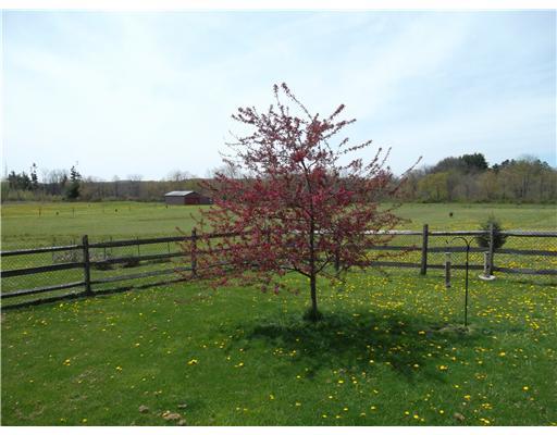 228 Hines Road Slippery Rock, PA 16057 - Photo 15 of 18 Yard/Garden.