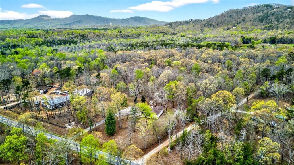 672 Cooley Woods Road Cleveland, GA 30528 - Photo 41 of 44