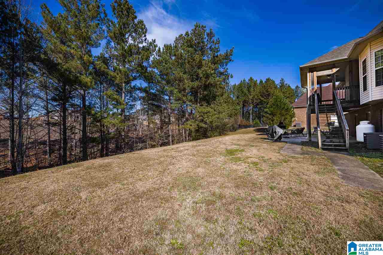 80 Clubhouse Circle Odenville, AL 35120 - Photo 43 of 47