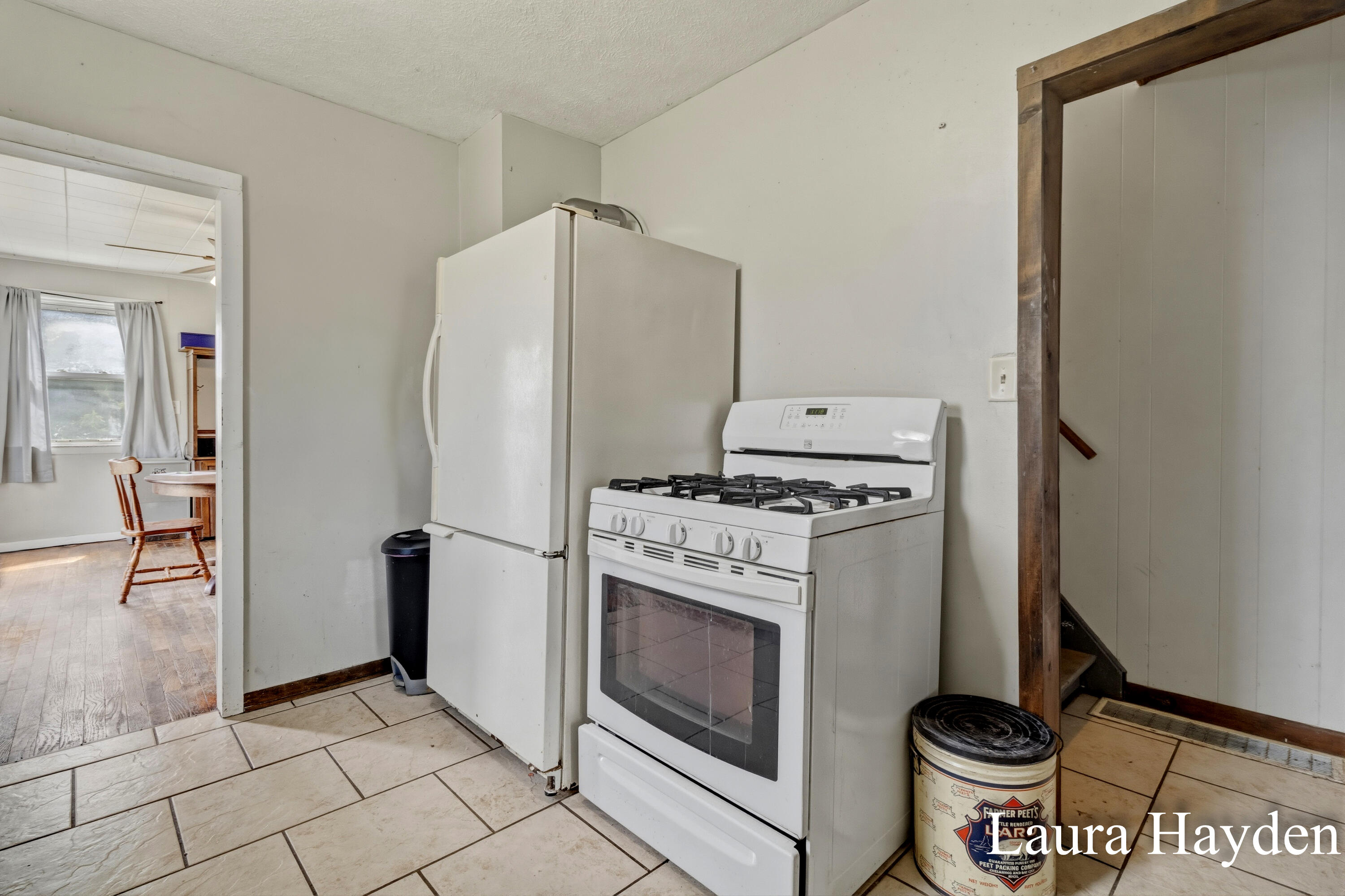 1367 East Riverside Drive Ionia, MI 48846 - Photo 12 of 46 Laura Hayden - 1367 Riverside Drive (46)