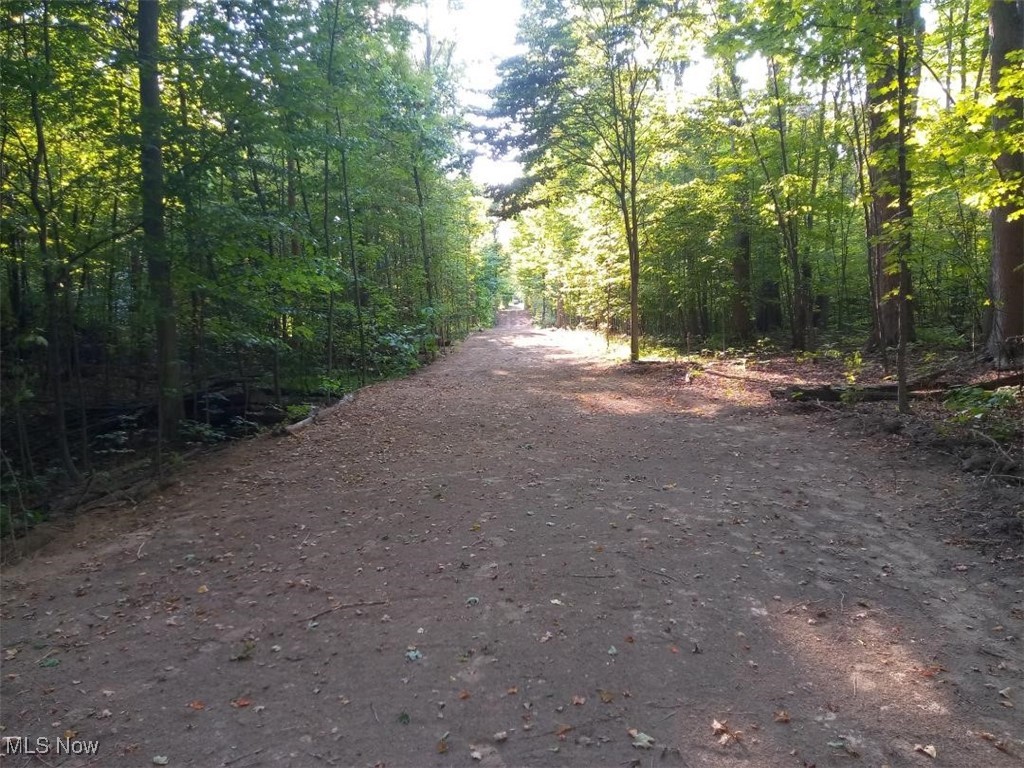 8123 Vandemark Road Lodi, OH 44254 - Photo 5 of 12 Expansive view of wooded areas