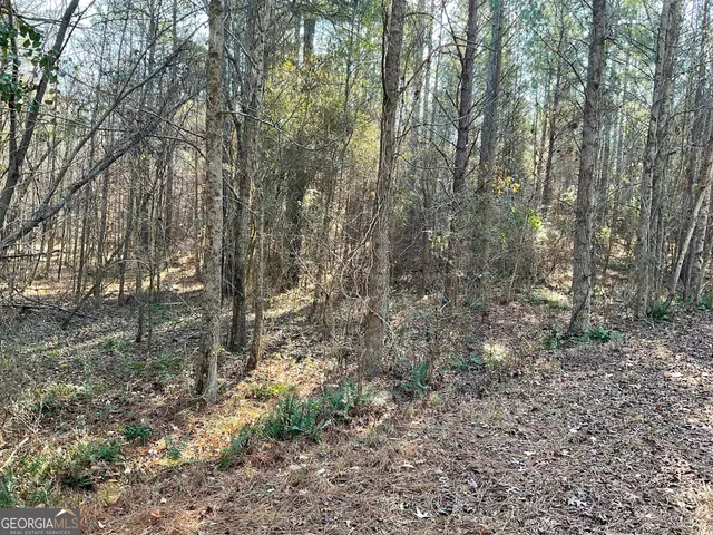 $31,900 | 0 Erskine Drive, Monticello, GA 31064